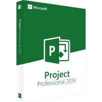 PROJECT 2019 PROFESSIONAL PROJECT 2019 PROFESSIONAL
